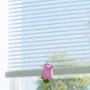 Custom Blinds & Closets for Less Coupon