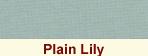 Plain Lily